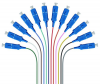 FBR-PT-SM-SC-UPC-12CORE-1M 12 CORE - RENKLI SC UPC SM 9/125 PIGTAIL - 1 MT